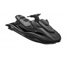 FX SVHO  2020