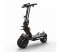 Dualtron X
