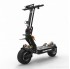 Dualtron X