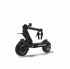 Dualtron X